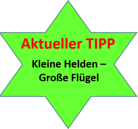Ankündigungsstern-Kleine Helden - große Flügel
